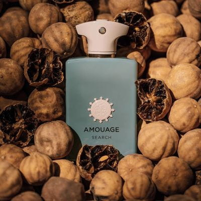 اسانس عطر از برند لوزی آمواج سرچ Amouage search