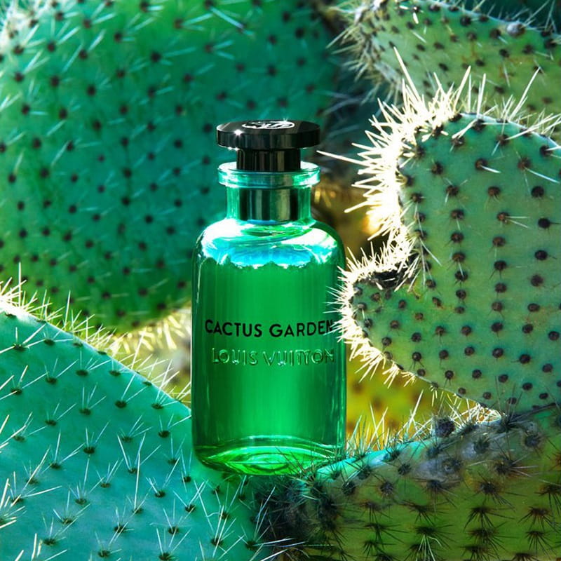 اسانس از برند لوزی عطر کاکتوس گاردن لویی ویتون (Louis Vuitton Cactus Garden)