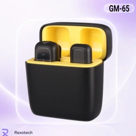 میکروفون بی سیم گرین لاین مدل GM-65